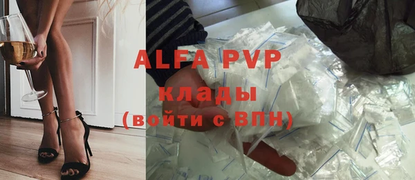 гашик Богданович