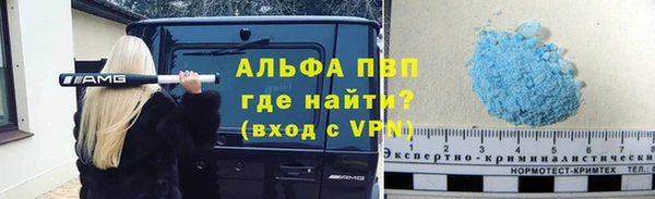 гашик Богданович