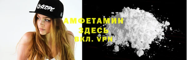 дживик Бородино