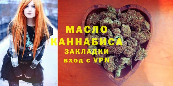 дживик Бородино