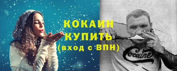гашик Богданович