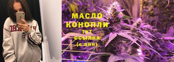 дживик Бородино