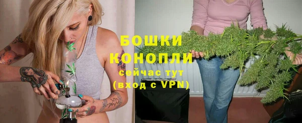ПСИЛОЦИБИНОВЫЕ ГРИБЫ Богородицк