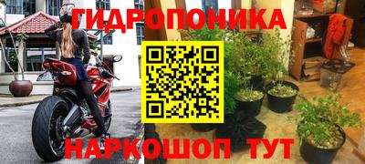 бошки Пушкино
