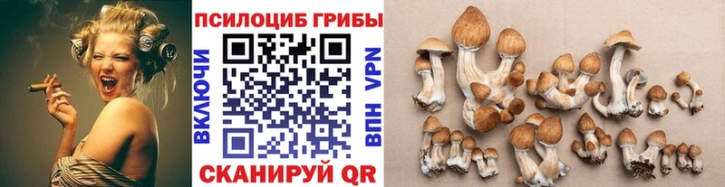 где можно купить наркотик  Свободный  blacksprut tor  Псилоцибиновые грибы ЛСД 