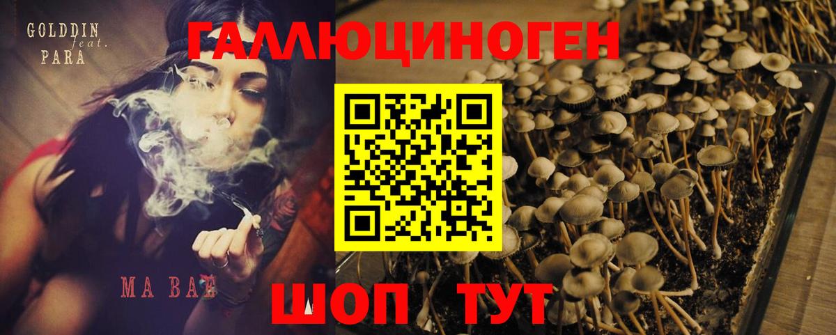 Галлюциногенные грибы мухоморы  Псилоцибиновые грибы Psilocybine cubensis  Свободный  Вход с VPN 