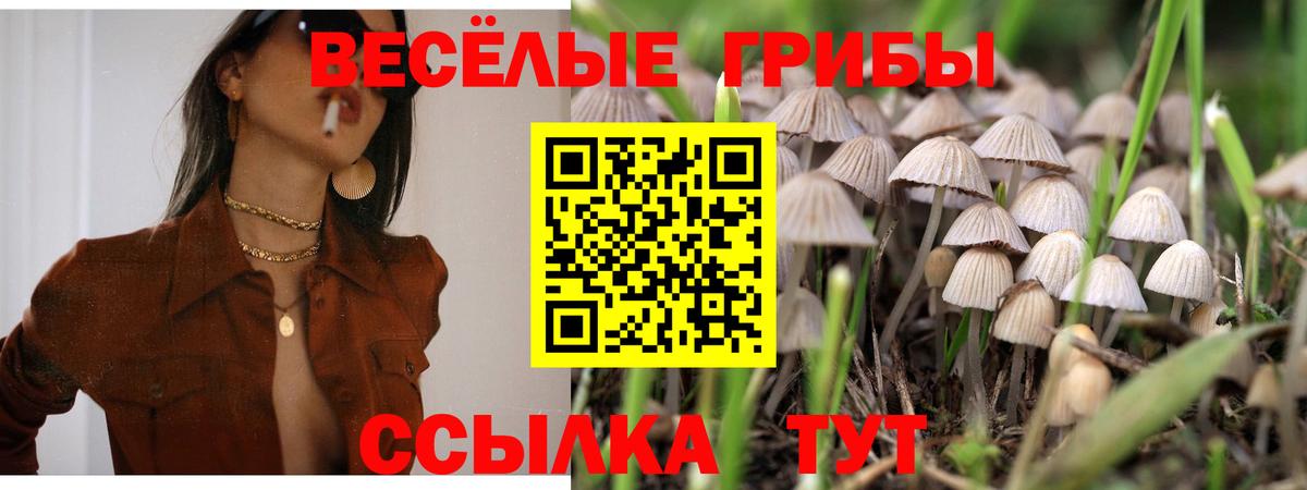 Галлюциногенные грибы мухоморы Свободный